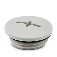 Резьбовой колпачок A-INSP-M20-68N-P-LG | код 1424519 | PHOENIX CONTACT