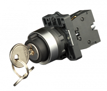 Переключатель в пластиковом корпусе с ключом 0-1 IP65 | код SW1-CG21 | ELVERT