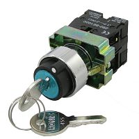 Ключ выключатель RUICHI 3SA8-BG33, 3 положения, 2NO, 3 А, 240 В, IP40, винтовой зажим | код 71617 | Ruichi